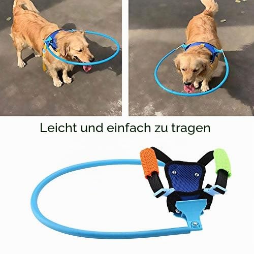 Sheens Anti-Collision Ring for Blind Dogs, Adjustable, Lightweight, Cataract-Proof Guide Halo Protective Case for the Circle Blind Pet Cats, Anti-Collision Ring Safety Harness (XS) XS