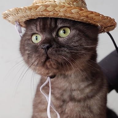 1Pc Light Brown Novelty Summer Adjustable Pet Dog Outdoor Straw Hat Puppy Small Kitty Cat Sunhats Dog Hat, Apparel and Accessories - PawsPlanet Australia