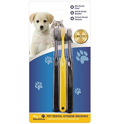 Mini Toothbrush for Cats and Dogs - Cat Toothbrush, Small Dog Toothbrush - Designed for Cat, Kitten, Puppy, and Small Dog Like Chihuahuas, Yorkshire, and Poodle (3 or 6 Count) (3) 3 - PawsPlanet Australia