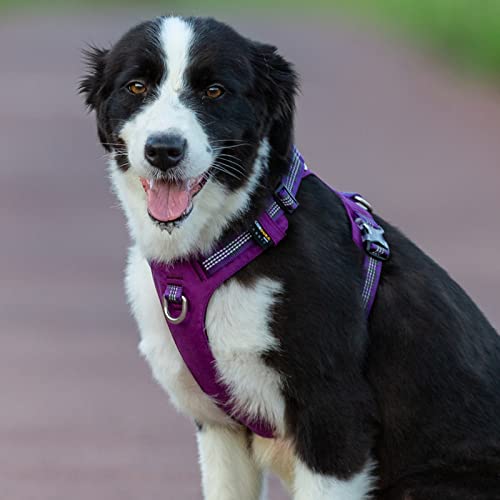WINHYEPET Truelove Explosion-proof Waterproof Fabric Dog Harness High Density Nylon Webbing Light-weight Outdoor Product Suitable Small and Medium Large Dog TLH6282(Purple, S) Purple - PawsPlanet Australia