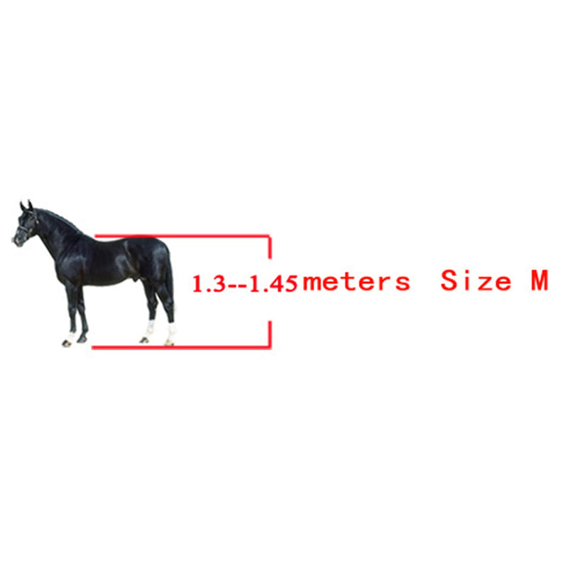 Horse Boots for Front and Hind Legs, 4Pcs PU Horses Tendon Fetlock Brace Guard Boots, Protective Horse Leg Wraps for Riding, Shock Absorbing, Jumping, Horse Gears(M) - PawsPlanet Australia