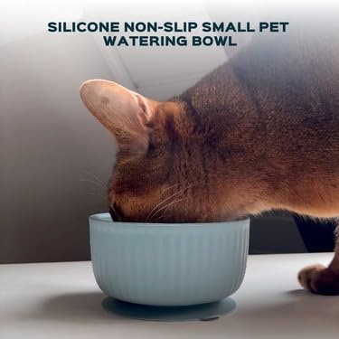 Cat Bowls with Suction Cup 400ml with Silicone Lid — Elevated Silicone Pet Dish with Non-Slip Bottom for Dry Food, Wet Food and Water — Silicone Water Bowl for Small Dog, Rabbit, Kittens (Grafit) Grafit Bowl with Lid - PawsPlanet Australia