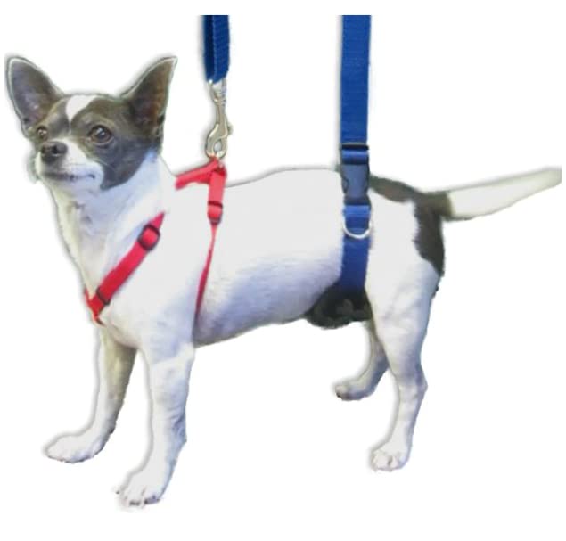 GINGERLEAD Dog Support Sling Harness, X-Small Fits Little Pets Under 25 lbs or Dachshunds with IVDD, Spinal Disc Disease, or Back Injuries. Assist Old or Recovering Pets. Chest Harness NOT Included. - PawsPlanet Australia