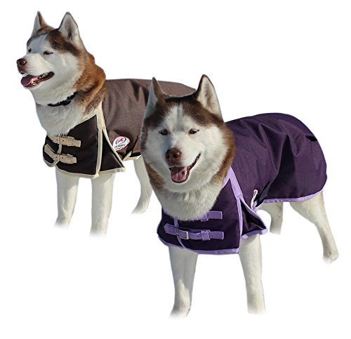 Derby Originals Ruff Pup 1200D Ripstop Waterproof Winter Dog Coat 150g Medium Weight Small (13.5 in) Purple