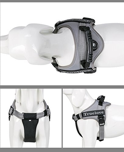 Truelove Dog Harness No-Pull Reflective Stitching Ensure Night Visibility Outdoor Adventure Big Dog Harness Perfect Match Puppy Vest TLH5753 Now Available in 6 Colors 6 Sizes XS Gray - PawsPlanet Australia
