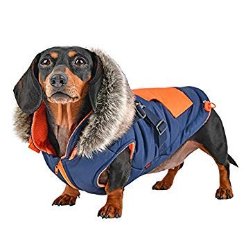 Puppia Orson Dog Coat - Red - M Medium 1