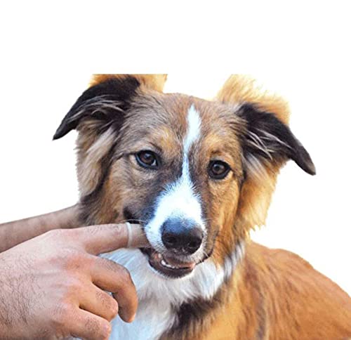 2 Pieces Dog Toothbrushs Silicone Pet Toothbrushes Full Surround Bristles Dog Finger Toothbrush for Dogs Cats and Pet(Blue and White)