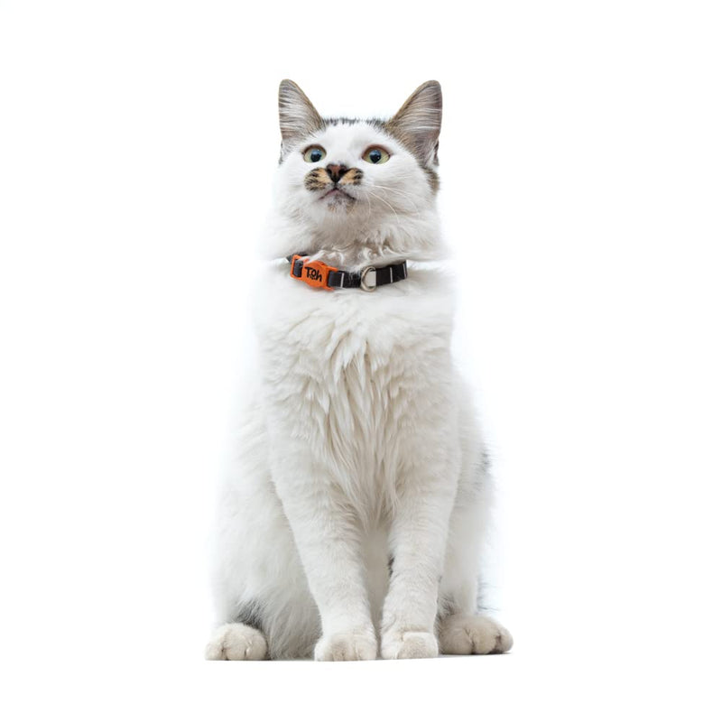 Breakaway Cat Collar – Stylish & Safe Adjustable Kitten Collar Breakaway – Cute Cat Collar for Kittens & Cats – Soft Pet Collar for Girls & Boys – Cat Accessories (Eclipse) Eclipse - PawsPlanet Australia