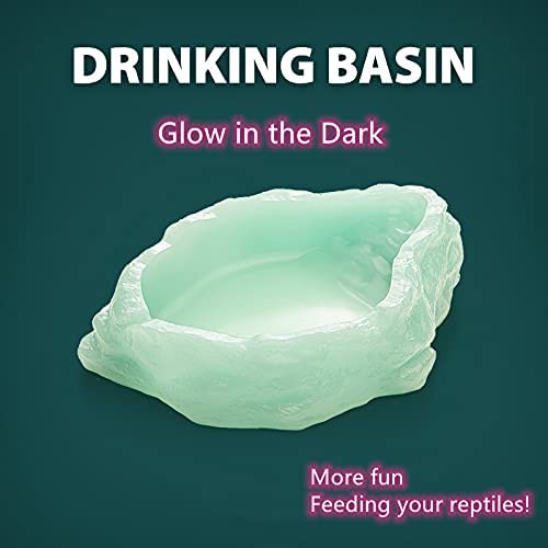 RunXF Luminous Reptile Water Dish Glow in Dark Food Bowl with Ramp Leopard Gecko Bearded Dragon Amphibians Accessories for Reptile Tank Terrarium Feeding Medium - PawsPlanet Australia