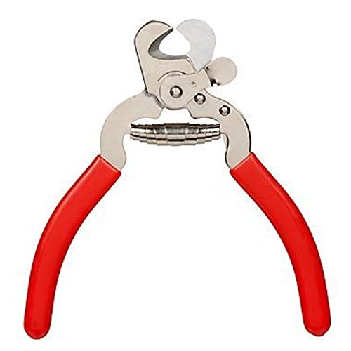 Millers Forge Stainless Steel Dog Nail Clipper, Plier Style Red - PawsPlanet Australia