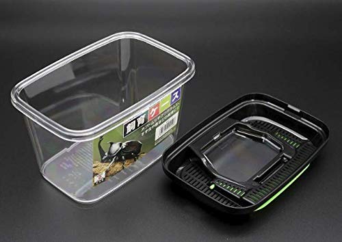 Critter Keeper with Handle, Easy to Observe, Terrarium for Bugs, Fish, Lizards, Crawfish, Frogs, or Snakes, Insect cage, Made in Japan (1pc) 1pc - PawsPlanet Australia