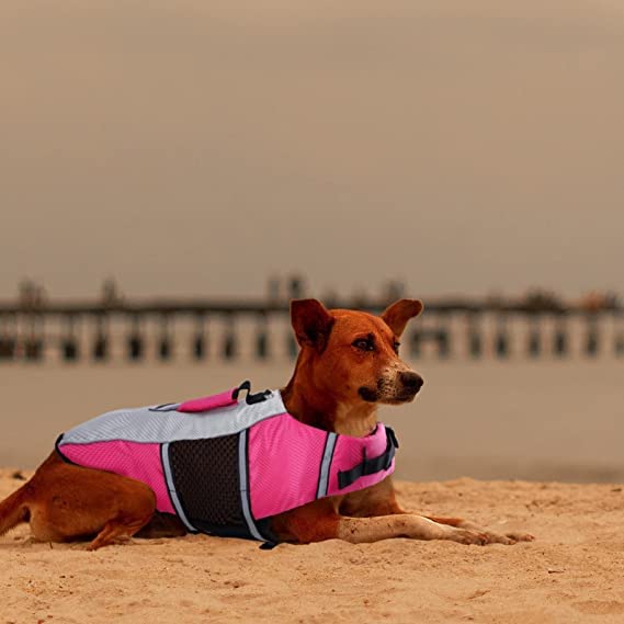 Queenmore Dog Life Jacket Swimming Vest Small Medium Dogs Neoprene Water Boating Life Preserver Lightweight Reflective Cat Puppy Kayaking Lifesaver for French Bulldog,Yorkie Terrier,Bichon(Pink,S) Pink