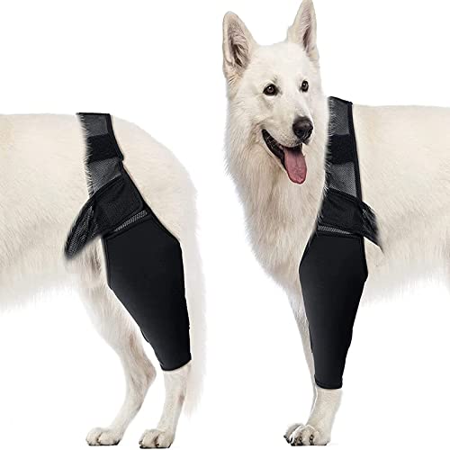 Fabater Dog Elbow Protector, Dog Elbow Brace Protector Pads for Canine Elbow and Shoulder Support, Dog Knee Leg Sleeve for Dysplasia, Arthritis, Pressure Sores, Shoulder Dislocation (M) M