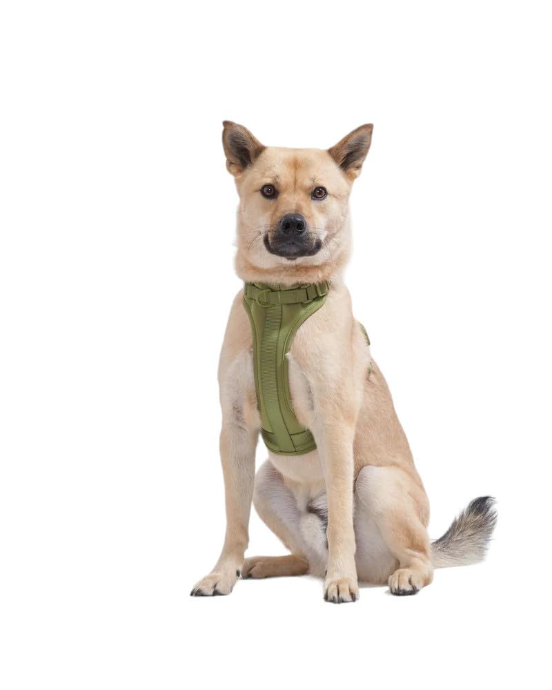 Wild One Dog Harness, No-Pull Pet Harness with 3 Leash Clips, Adjustable Soft Padded Dog Vest, Comfortable, Stretchy (Moss, Large) - PawsPlanet Australia