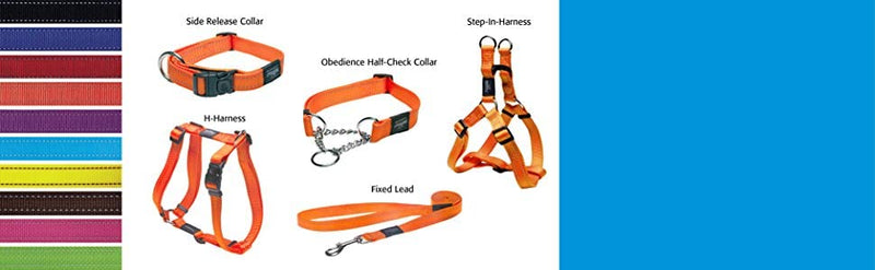 Reflective Nylon Choke Collar; Slip Show Obedience Training Gentle Choker for Medium Dogs, Orange - PawsPlanet Australia