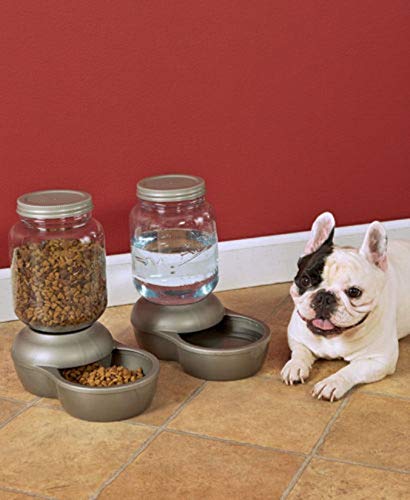 Petmate Mason Inspired Replendish Gravity Waterer, Water Dispenser for Dogs and Cats, 1 Gallon Silver, Made in USA 1 GAL - PawsPlanet Australia