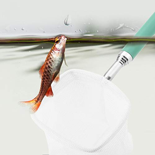 Fishing Landing Net Telescopic Aquarium Fish Shrimp Net Extendable Fish Tank Fishing Net with Stainless Steel Handle Green Square