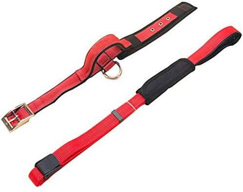 Creation Core 1 Set Adjustable Dog Seat Belt & Dog Collar with Elastic Handle Soft Padded Premium 2 in 1 Reflective Pet Leash - PawsPlanet Australia