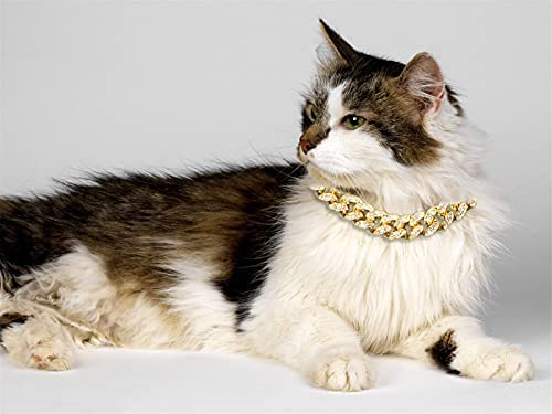 Halukakah Cat Collar - Carat - Iced Out Diamond Cuban Link Gold Chain for Cats & Kittens - 18k Real Gold Plated 9" Collar Size - for Decoration Only - Get Your Cat Catwalk Ready 9" Medium Breed Fit | Shorthair, Scottish Fold - PawsPlanet Australia