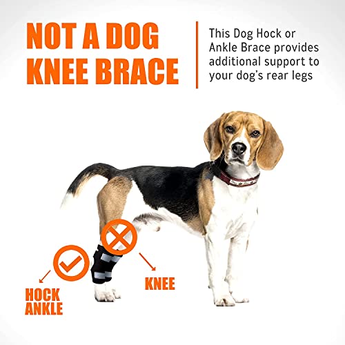 NeoAlly Super Supportive Dog Braces for Rear Leg and Hock Joint with Dual Metal Spring Strips Stabilize Canine hind Legs from Wound, Injury, Sprains, Arthritis (XL Pair) Both Leg XL