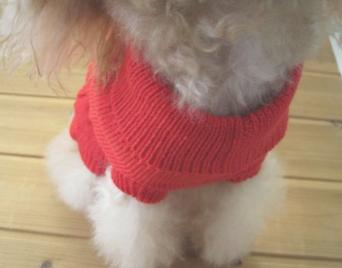 Tangpan Turtleneck Classic Straw-Rope Pro Pet Dog Sweater Apparel (Red,M) Medium (Pack of 1) Red - PawsPlanet Australia