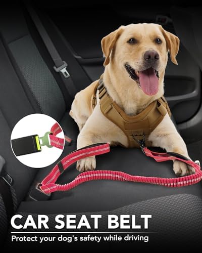 Joytale Tactical Dog Collar(17"-21") and Dog Leash Set, Shock Absorbing Bungee Dog Leash and Adjustable Strong Dog Collar with Handle for Large Dogs(Hotpink, L) - PawsPlanet Australia