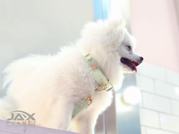 PU Leather Rhinestone Pet Leash - Green Leather Dog Leash - Soft, Padded & Comfortable for Female Dogs and Cats, Stylish for Walking & Running, Diamond Crystals & Metal Flowers - M 4FT Leash(M)-4ft LSH:Green - PawsPlanet Australia