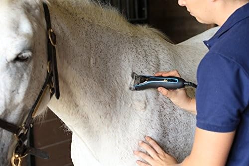 Oster CryogenX Detachable Pet Clipper Blade, Size 10 Wide (078919-446-005) 10 Wide, 2.4mm - PawsPlanet Australia