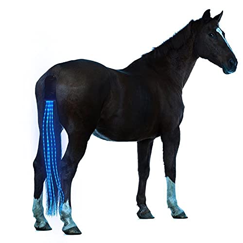 CZP New 100CM Horse Tail USB Lights Chargeable LED Crupper Horse Harness Equestrian Outdoor Sport Horse Riding Tail Lights Equipment 100cm RED - PawsPlanet Australia