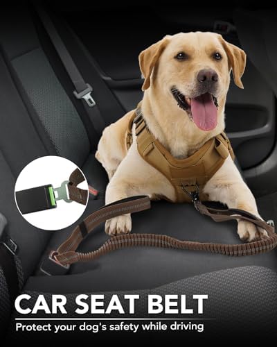 Joytale Tactical Dog Collar(17"-21") and Dog Leash Set, Shock Absorbing Bungee Dog Leash and Adjustable Strong Dog Collar with Handle for Large Dogs(Brown, L) - PawsPlanet Australia