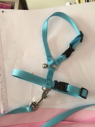 Adjustable Small Pet Hedgehog Harness for Training Playing Traction Rope (Blue) Blue - PawsPlanet Australia