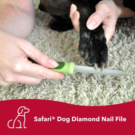 Coastal Pet - Safari Dog Diamond Nail File and Safari Professional Dog Nail Trimmer - Bundle - PawsPlanet Australia