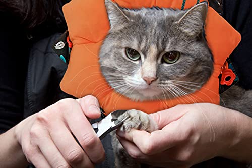 Adjustable Pet Cone Collar Soft for Kittens and Puppys, Cute Recovery Pet E-Collar After Surgery, Wound Healing Protective Cone, Elizabethan Collars (Flower, S) Flower - PawsPlanet Australia