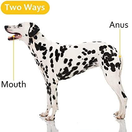 Professional Pet Livestock Thermometer, Fast Digital Veterinary Thermometer, Pet Thermometer for Dogs,Cats, Horse,Cattle,(No Battery) - PawsPlanet Australia