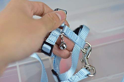 Adjustable Small Pet Hedgehog Harness for Training Playing Traction Rope (Blue) Blue - PawsPlanet Australia