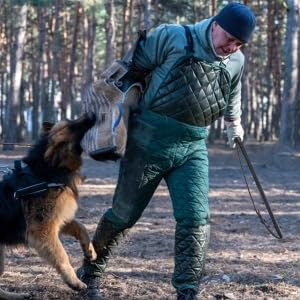 Pssopp Cowhide Dog Agitation Whip, Dog Teaser Wand Dogs Training Whip Outdoor Playing for Pulling Chasing Chewing Teasing Training - PawsPlanet Australia