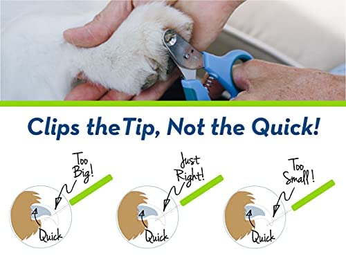 Zen Clipper Pet Nail Clipper for Cats – Cat Nail Trimmer for Safer Pet Grooming - Clean, Quiet, and Easy-to-Use Stainless Steel Claw Trimmer - (2mm Hole) X Small - 2mm hole - PawsPlanet Australia