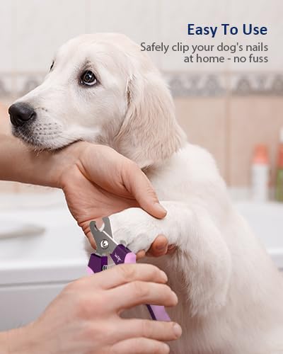 Self-Adhesive Bandage with Dog Scissors Set for Pet Care - PawsPlanet Australia