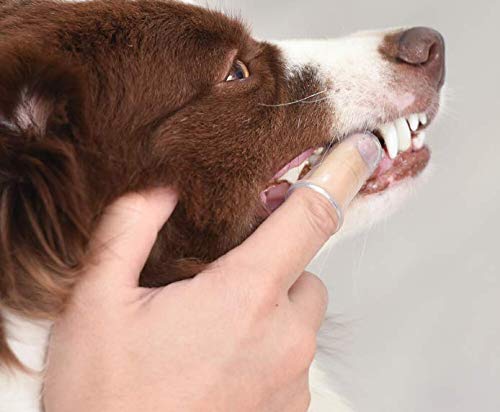 ARM & HAMMER Fresh Spectrum Coconut Dental Kit for Puppies, Includes Puppy Toothpaste, Toothbrush & Finger Brush, Removes Plaque, 360° Brush Deep Cleans all Tooth Surface, Easy to Use Dog Oral Care