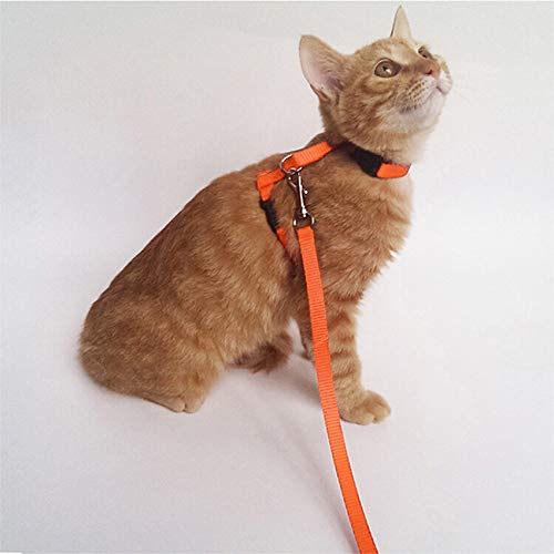 Gizhome 2 Pack Cat Harness and Leash Adjustable Halter Harness Nylon Strap Belt Safety Rope Leads for Kitten, Orange & Light Blue - PawsPlanet Australia