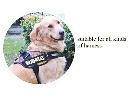 Reflective Dog Patches with Hook Backing -Service Dog, in Training, Do Not Pet, Emotional Support, Therapy Dog, in Training for Animal Vest Harnesses, Collars, Leashes Dog Patches - PawsPlanet Australia