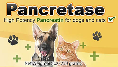 | Pancretase Digestive Enzymes | 10x Pancreatin | Pancreatin for Dogs and Cats | Pancreatic Enzyme | Great for Pets with EPI - PawsPlanet Australia