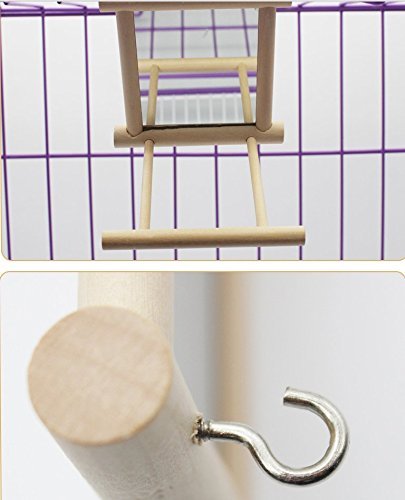 Hypeety Bird Parrot Mirror Toy Swing Hanging with Perch for Parrot Parakeet Budgies Cockatiel Conure Finch Lovebird (D) Wooden Mirror with Perch