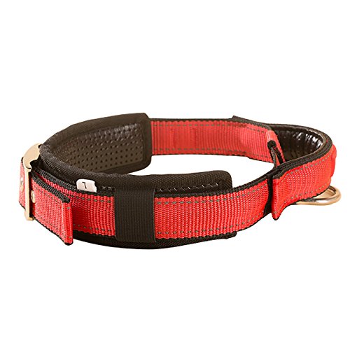 Creation Core 1 Set Adjustable Dog Seat Belt & Dog Collar with Elastic Handle Soft Padded Premium 2 in 1 Reflective Pet Leash - PawsPlanet Australia