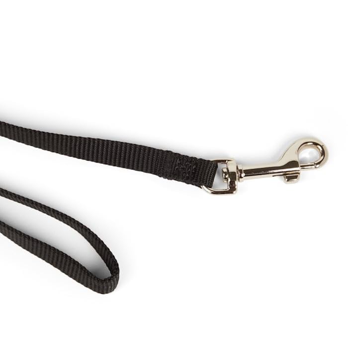 Youly Nylon Dog Leash Black 6-ft Long 1/2-in Wide 6 FT - PawsPlanet Australia