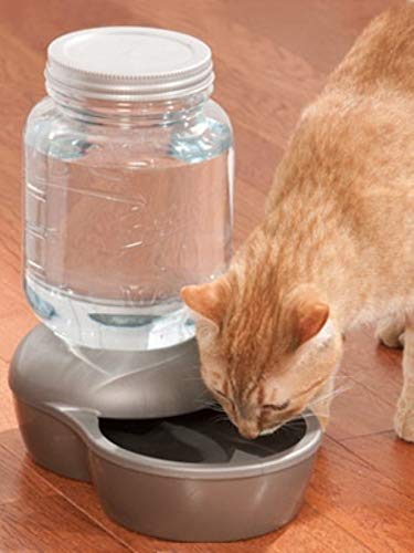 Petmate Mason Inspired Replendish Gravity Waterer, Water Dispenser for Dogs and Cats, 1 Gallon Silver, Made in USA 1 GAL - PawsPlanet Australia