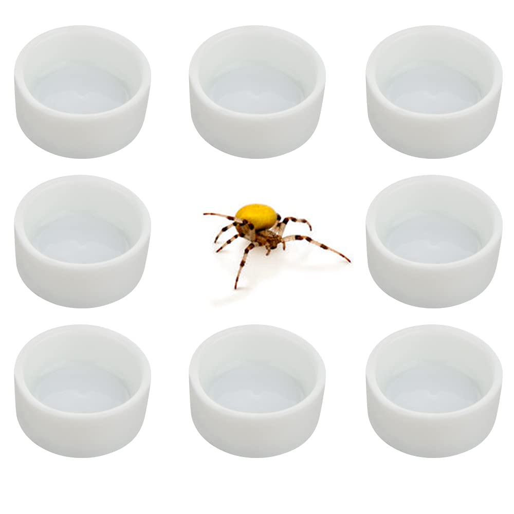 8 Pcs Spider Micro Ceramic Water Bowl Tarantula Mini Dish for Tarantula Spider Scorpion Cricket Snail Manti Millipede Tiny Bugs (White)