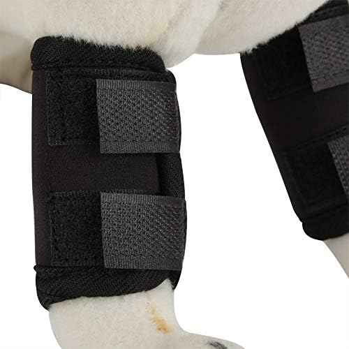 KUIDAMOS Dog Leg Protector Dog Leg Brace Front, Neoprene SBR, Front Brace for Dogs for Reducing Chronic Inflammation, Prevents Injuries Pet Splint for Dog(Black, S Code) - PawsPlanet Australia