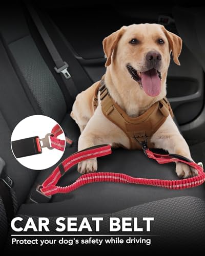 Joytale Tactical Dog Collar(17"-21") and Dog Leash Set, Shock Absorbing Bungee Dog Leash and Adjustable Strong Dog Collar with Handle for Large Dogs(Red, L)