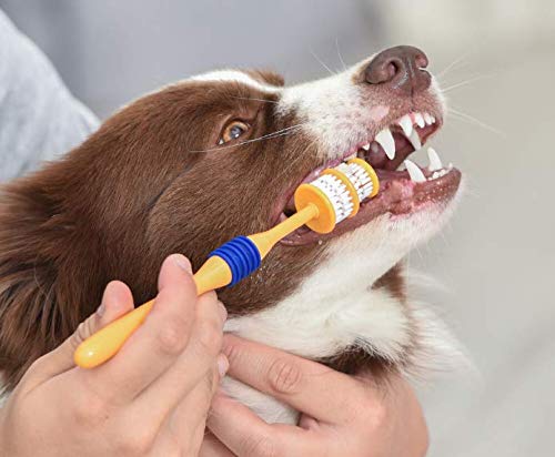 ARM & HAMMER Fresh Spectrum Coconut Dental Kit for Puppies, Includes Puppy Toothpaste, Toothbrush & Finger Brush, Removes Plaque, 360° Brush Deep Cleans all Tooth Surface, Easy to Use Dog Oral Care